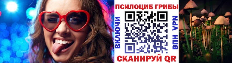 Купить где  Галич  Псилоцибиновые грибы мухоморы 